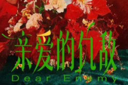 亲爱的仇敌