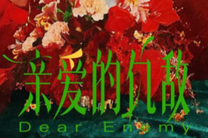 亲爱的仇敌