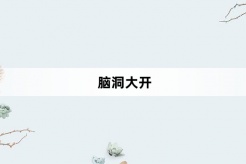 “脑洞大开”网络梗词解释