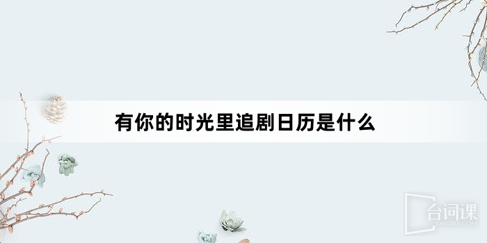 有你的时光里追剧日历是什么
