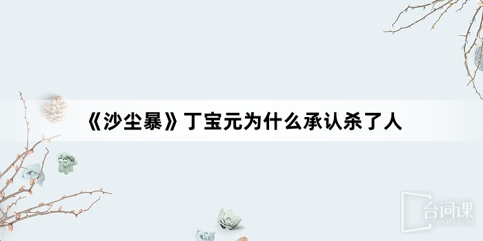 《沙尘暴》丁宝元为什么承认杀了人