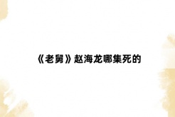 《老舅》赵海龙哪集死的