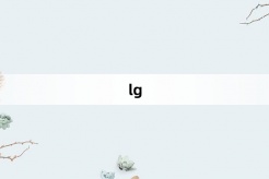 “lg”网络梗词解释