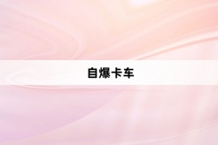 “自爆卡车”网络梗词解释
