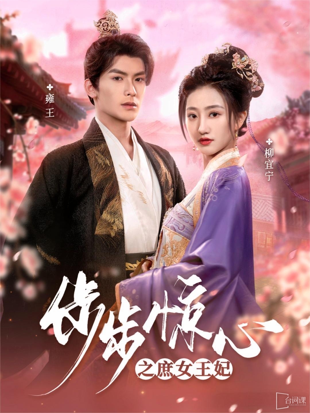 《步步惊心之庶女王妃》剧情介绍