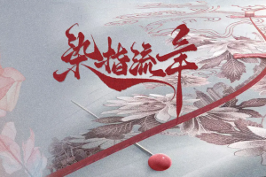 染指流年