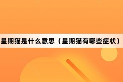 “星期猫”网络梗词解释