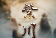 紫川光明三杰