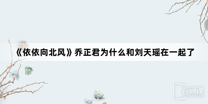 《依依向北风》乔正君为什么和刘天瑶在一起了