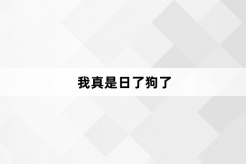 “我真是日了狗了”网络梗词解释