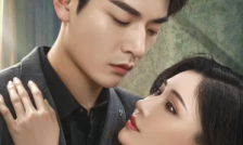 进击的夫人
