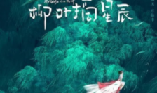 柳叶摘星辰