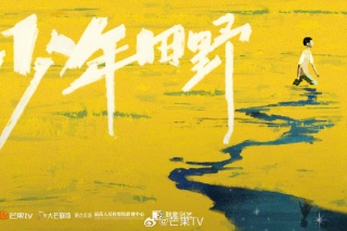 少年田野