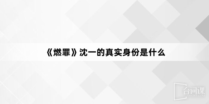 《燃罪》沈一的真实身份是什么