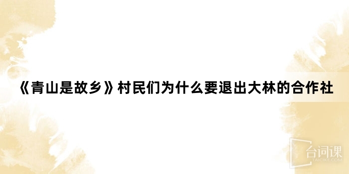 《青山是故乡》村民们为什么要退出大林的合作社