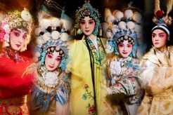 《主角》第31集劇情:劉紅兵護人