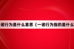 “一诺行为”网络梗词解释