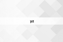 “yz”网络梗词解释