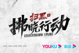 扫黑之拂晓行动