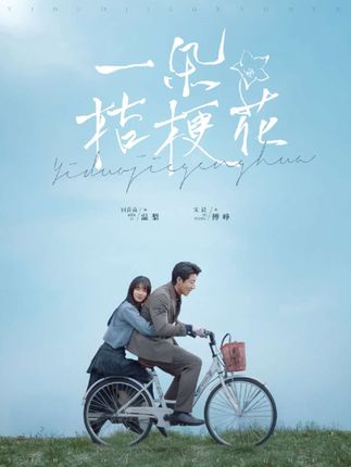 三版《桔梗》对比