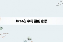 “字母圈的brat”网络梗词解释