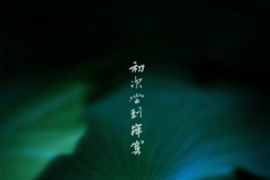 電影《初次嚐到寂寞》6月16日官宣殺青