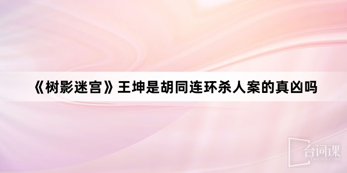 《樹影迷宮》王坤是胡同連環殺人案的真兇嗎
