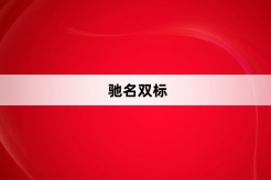 “驰名双标”网络梗词解释
