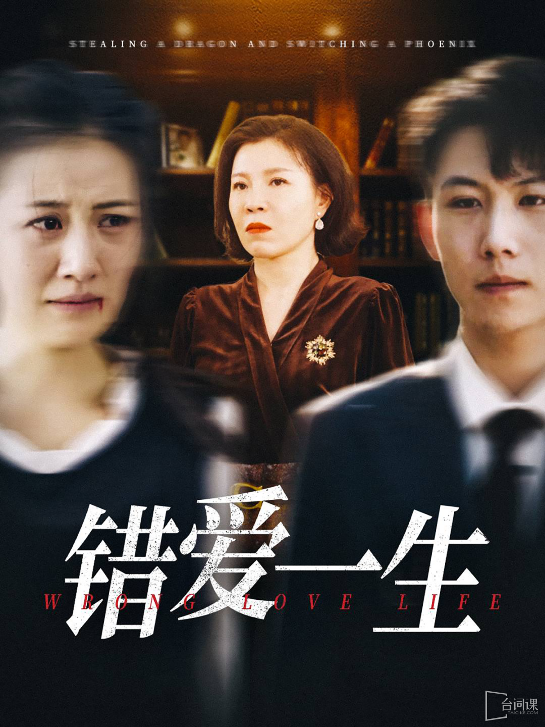 《错爱一生》剧情介绍