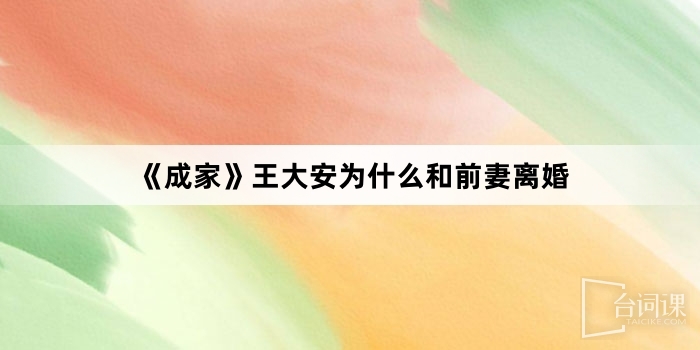 《成家》王大安为什么和前妻离婚