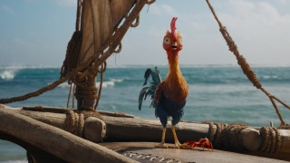 海洋奇缘：启航剧照