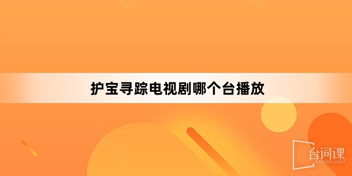 护宝寻踪电视剧哪个台播放