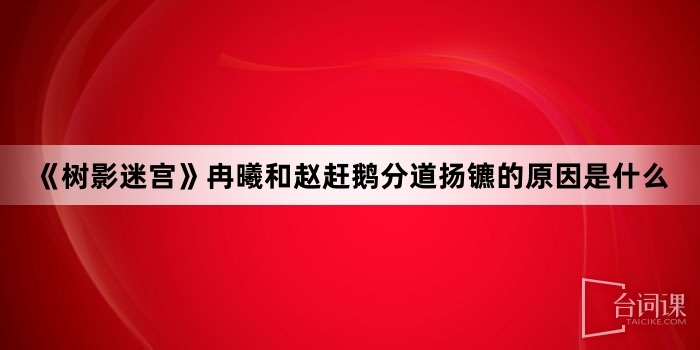 《树影迷宫》冉曦和赵赶鹅分道扬镳的原因是什么