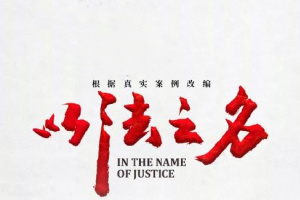 in the name of justice