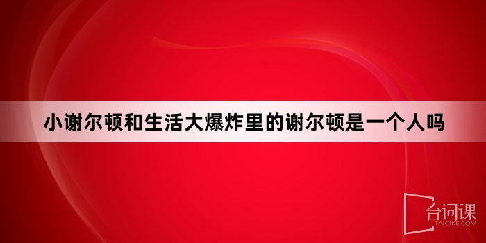 小謝爾頓和生活大爆炸裡的謝爾頓是一個人嗎