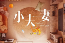小夫妻