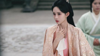 桃花映江山剧照
