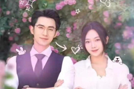 总裁夫人来自农村