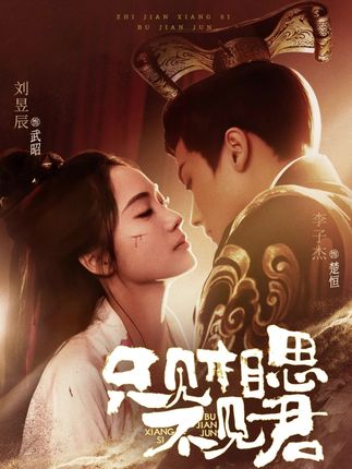 《隻見相思不見君》劇情介紹