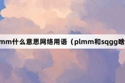 “plmm”Internet meme words explanation