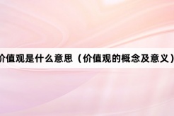 “价值观”网络梗词解释