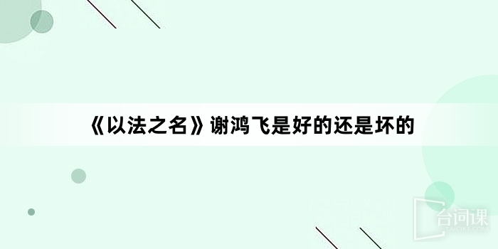 《in the name of justice》Is Xie Hongfei good or bad