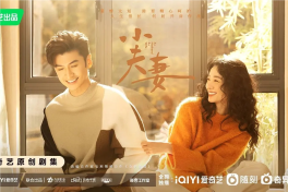 小夫妻电视剧