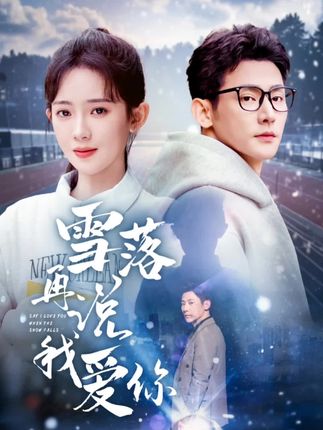 《雪落再说我爱你》剧情介绍