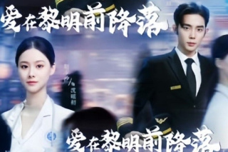 爱在黎明前降落
