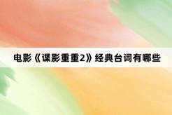 電影《諜影重重2》經典台詞