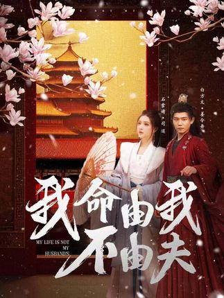 《我命由我不由夫》劇情介紹