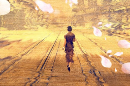 灼灼韶华风禾起