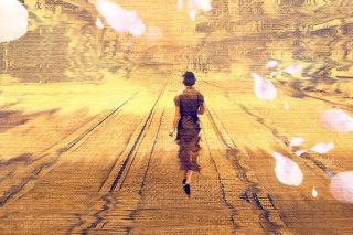 灼灼韶華風禾起