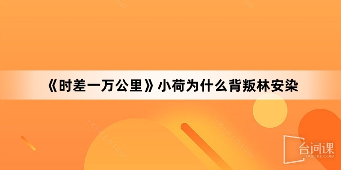 《时差一万公里》小荷为什么背叛林安染